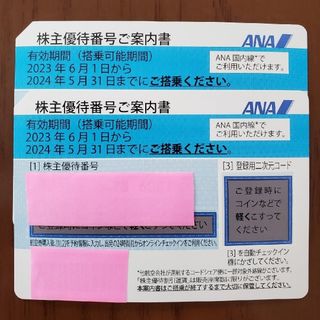 エーエヌエー(ゼンニッポンクウユ)(ANA(全日本空輸))のANA株主優待券２枚セット(2024年5月31日まで(航空券)