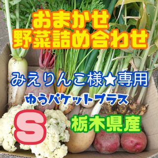 数量限定‼️おまかせ野菜詰め合わせ【コンパクトBOX】(野菜)