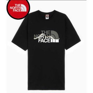 ザノースフェイス(THE NORTH FACE)のノースフェイス North Face tee Tシャツ ロゴ tee(Tシャツ/カットソー(半袖/袖なし))