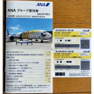 エーエヌエー(ゼンニッポンクウユ)(ANA(全日本空輸))のANA株主優待券(航空券)