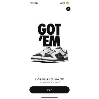 ナイキ(NIKE)のTIGHTBOOTH x NIKE SB DUNK LOW(スニーカー)