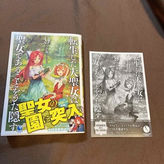 転生した大聖女は、聖女であることをひた隠す ９(文学/小説)