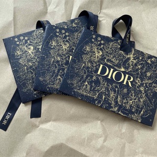 ディオール(Dior)のディオール　ホリデー　2022 ギフトバッグ(その他)