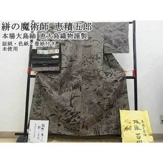 平和屋野田店■絣の魔術師 恵積五郎 本場大島紬 恵大島織物謹製 9マルキ さが美扱い 証紙・色紙・畳紙付き 逸品 未使用 3n-zb0384(着物)