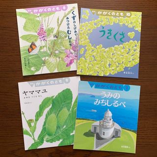 フクインカンショテン(福音館書店)の《再お値下げ》かがくのとも ４点セット 2020〜2021年 中古(絵本/児童書)