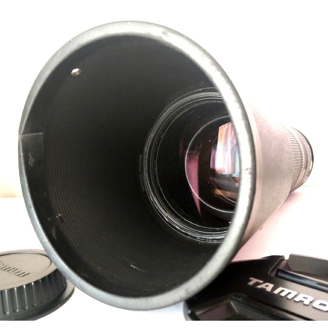 TAMRON SP 150-600mm F5-6.3 Di VC USD キャノ - www.sorbillomenu.com