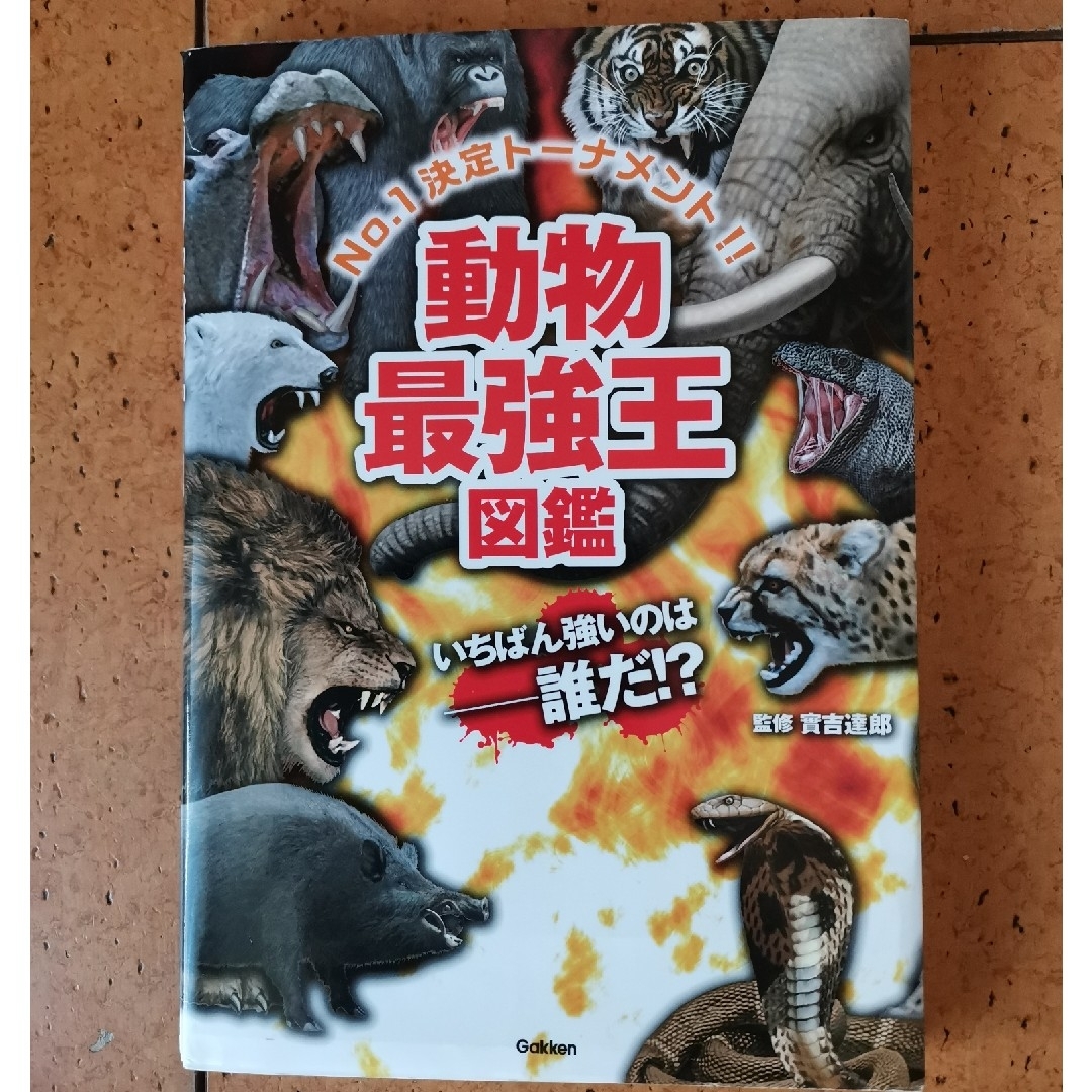 学研(ガッケン)の動物最強王図鑑 エンタメ/ホビーの本(絵本/児童書)の商品写真