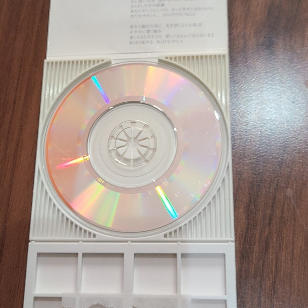 BMG(ベストマートガールズ)のサクラ・フワリ エンタメ/ホビーのCD(ポップス/ロック(邦楽))の商品写真