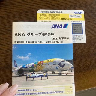 エーエヌエー(ゼンニッポンクウユ)(ANA(全日本空輸))のANA 株主優待(その他)