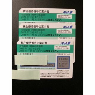 エーエヌエー(ゼンニッポンクウユ)(ANA(全日本空輸))のANA 株主優待券 3枚 　有効期限 2023年11月30日(航空券)