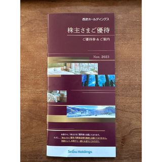 サイタマセイブライオンズ(埼玉西武ライオンズ)の西武ホールディングス　株主優待券(鉄道乗車券)