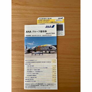 エーエヌエー(ゼンニッポンクウユ)(ANA(全日本空輸))のANA 株主優待券　1枚(その他)