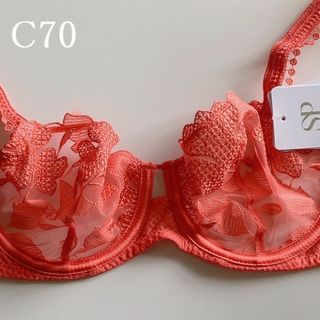 シモーヌペレール(Simone Perele)のC70☆ シモーヌ ペレール　SIMONE PERELE フランス海外高級ブラ(ブラ)