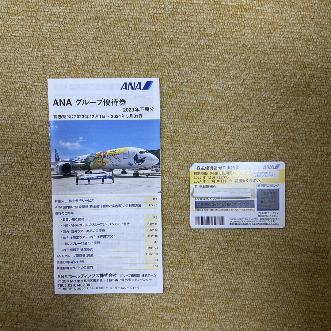 ANA(全日本空輸)(エーエヌエー(ゼンニッポンクウユ))のANA グループ優待券  株主優待券1枚  冊子1冊  全日空 チケットの乗車券/交通券(航空券)の商品写真