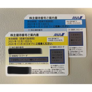 エーエヌエー(ゼンニッポンクウユ)(ANA(全日本空輸))の ANA 株主優待券 2枚(2024/5/31,2024/11/30)(その他)