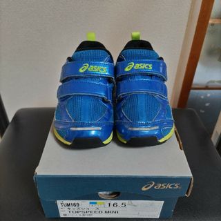 アシックス(asics)の靴　スニーカー　シューズ　アシックス　すくすく　16.5(スニーカー)