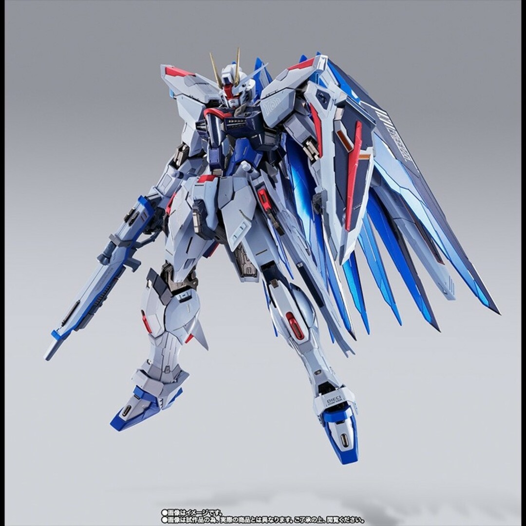 メタルビルド フリーダムガンダム CONCEPT 2 SNOW Ver