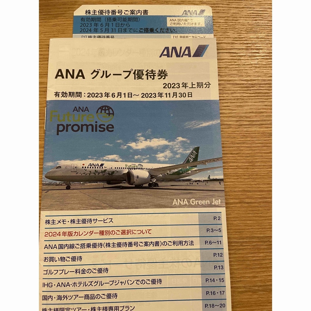 ANA(全日本空輸)(エーエヌエー(ゼンニッポンクウユ))のANA株主優待　1枚 チケットの乗車券/交通券(航空券)の商品写真