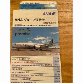 エーエヌエー(ゼンニッポンクウユ)(ANA(全日本空輸))のANA株主優待　1枚(航空券)