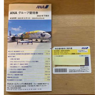 エーエヌエー(ゼンニッポンクウユ)(ANA(全日本空輸))のANA株主優待チケット1枚&優待券一冊(航空券)