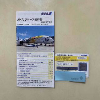 エーエヌエー(ゼンニッポンクウユ)(ANA(全日本空輸))のANA株主優待チケット2024年11月30日迄有効(その他)