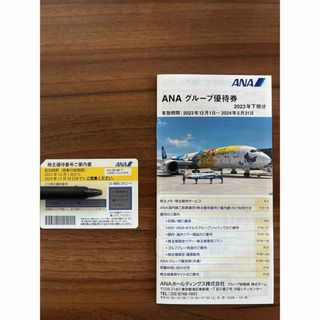 エーエヌエー(ゼンニッポンクウユ)(ANA(全日本空輸))のANA 株主優待券(その他)