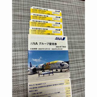 エーエヌエー(ゼンニッポンクウユ)(ANA(全日本空輸))のANA株主優待(航空券)