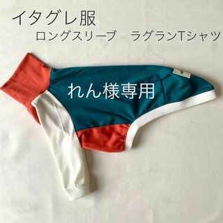 れん様専用 イタグレ服　長袖ラグランTシャツ　トリコロール　セミオーダー(ペット服/アクセサリー)