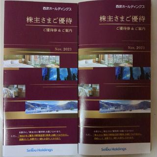 セイブヒャッカテン(西武百貨店)の西武ホールディングス 株主優待冊子2冊(その他)