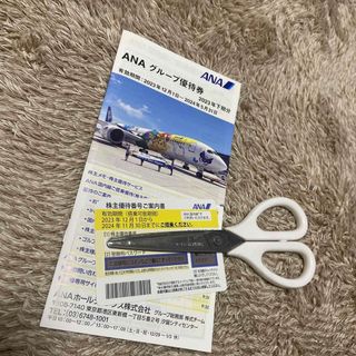 エーエヌエー(ゼンニッポンクウユ)(ANA(全日本空輸))の割引き中　今月中の為ANA グループ優待券(航空券)