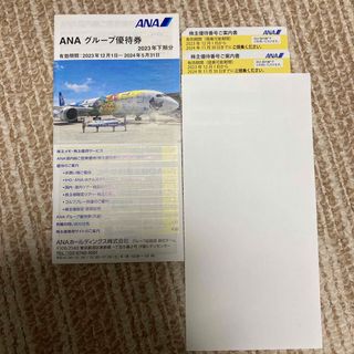 エーエヌエー(ゼンニッポンクウユ)(ANA(全日本空輸))のANA株主優待券(航空券)