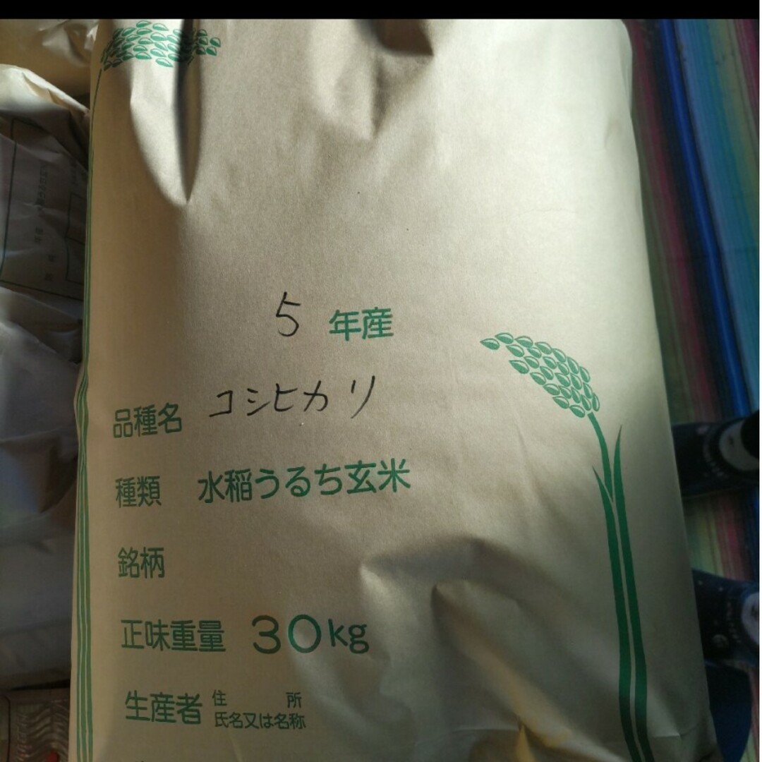 コシヒカリ　令和５年度　福島県産　30キロ-