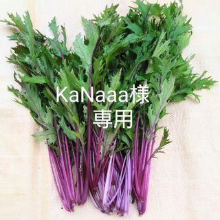 KaNaaa様専用(野菜)