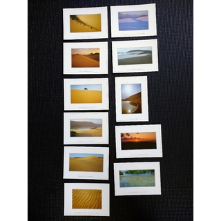 ポストカード  11枚  鳥取砂丘(印刷物)
