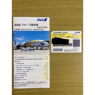 エーエヌエー(ゼンニッポンクウユ)(ANA(全日本空輸))のANA グループ優待券　2023年12月1日〜2024年11月30日(その他)