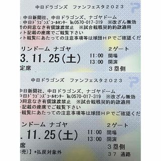 チュウニチドラゴンズ(中日ドラゴンズ)の中日ドラゴンズ　ファンフェスタ2023 内野席2枚(野球)