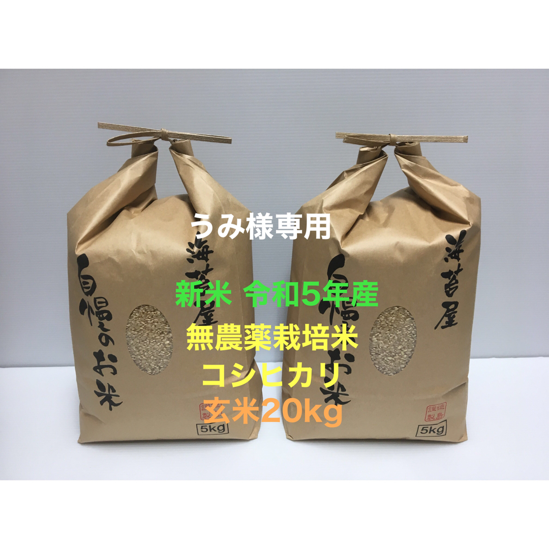 うみ様専用 新米 無農薬コシヒカリ玄米20kg(5kg×4)令和5年産の通販 by