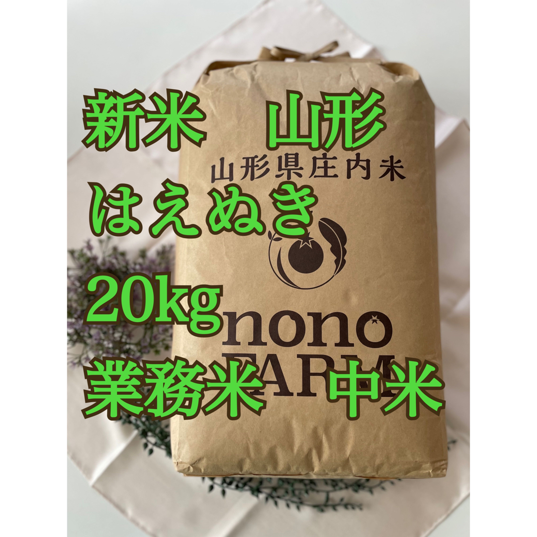 米/穀物はえぬき　20kg 中米　業務米　山形　特別栽培米　令和5年