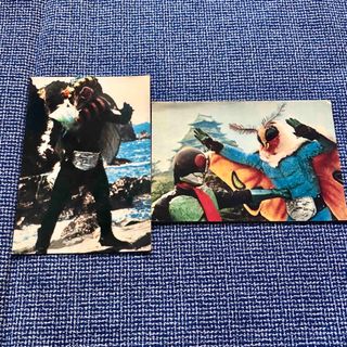 カルビー(カルビー)の仮面ライダーチップス　カード　2枚セット　1999　2003(その他)