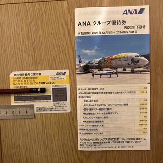 エーエヌエー(ゼンニッポンクウユ)(ANA(全日本空輸))の【匿名配送】ANA 株主優待　100株分　2024年11月30日期限(航空券)