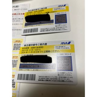 エーエヌエー(ゼンニッポンクウユ)(ANA(全日本空輸))の2枚組　ANA 株主優待　グループ優待券　アナ　飛行機(その他)