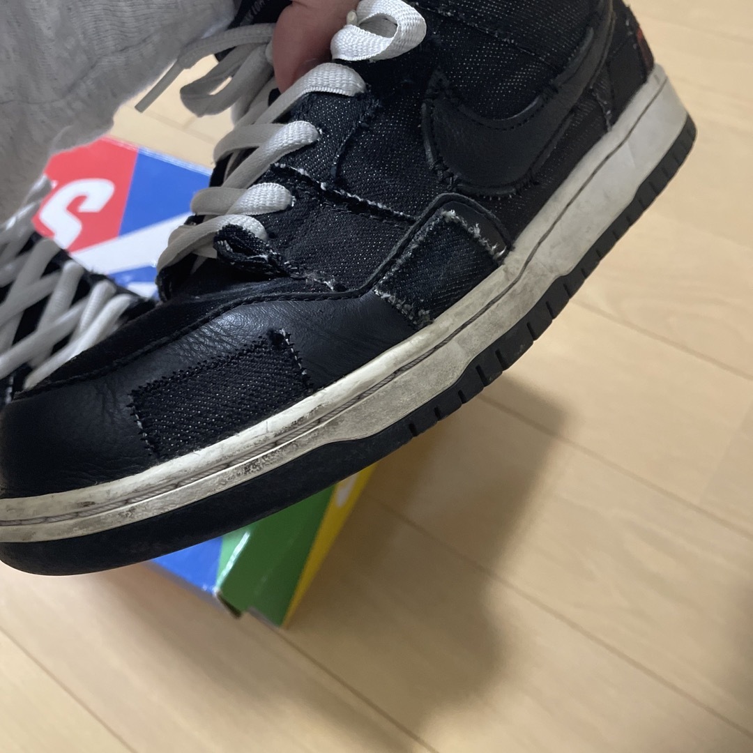 NIKE(ナイキ)のNIKE SB DUNK LOW " Wasted Youth" メンズの靴/シューズ(スニーカー)の商品写真