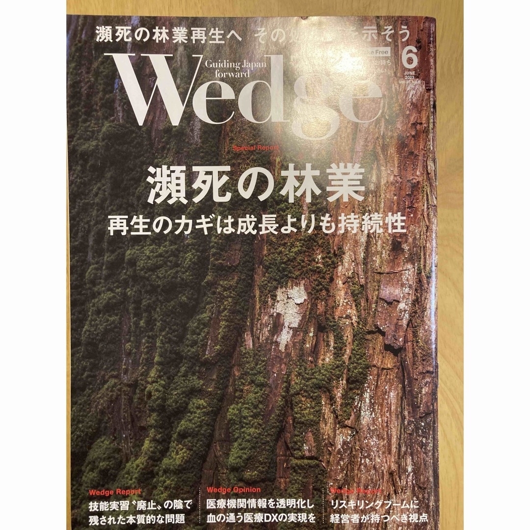 JR(ジェイアール)の新幹線グリーン車 Wedge ひとときセット2023年 エンタメ/ホビーの雑誌(ビジネス/経済/投資)の商品写真