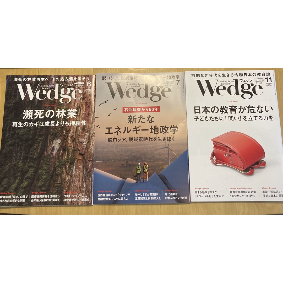 JR(ジェイアール)の新幹線グリーン車 Wedge ひとときセット2023年 エンタメ/ホビーの雑誌(ビジネス/経済/投資)の商品写真