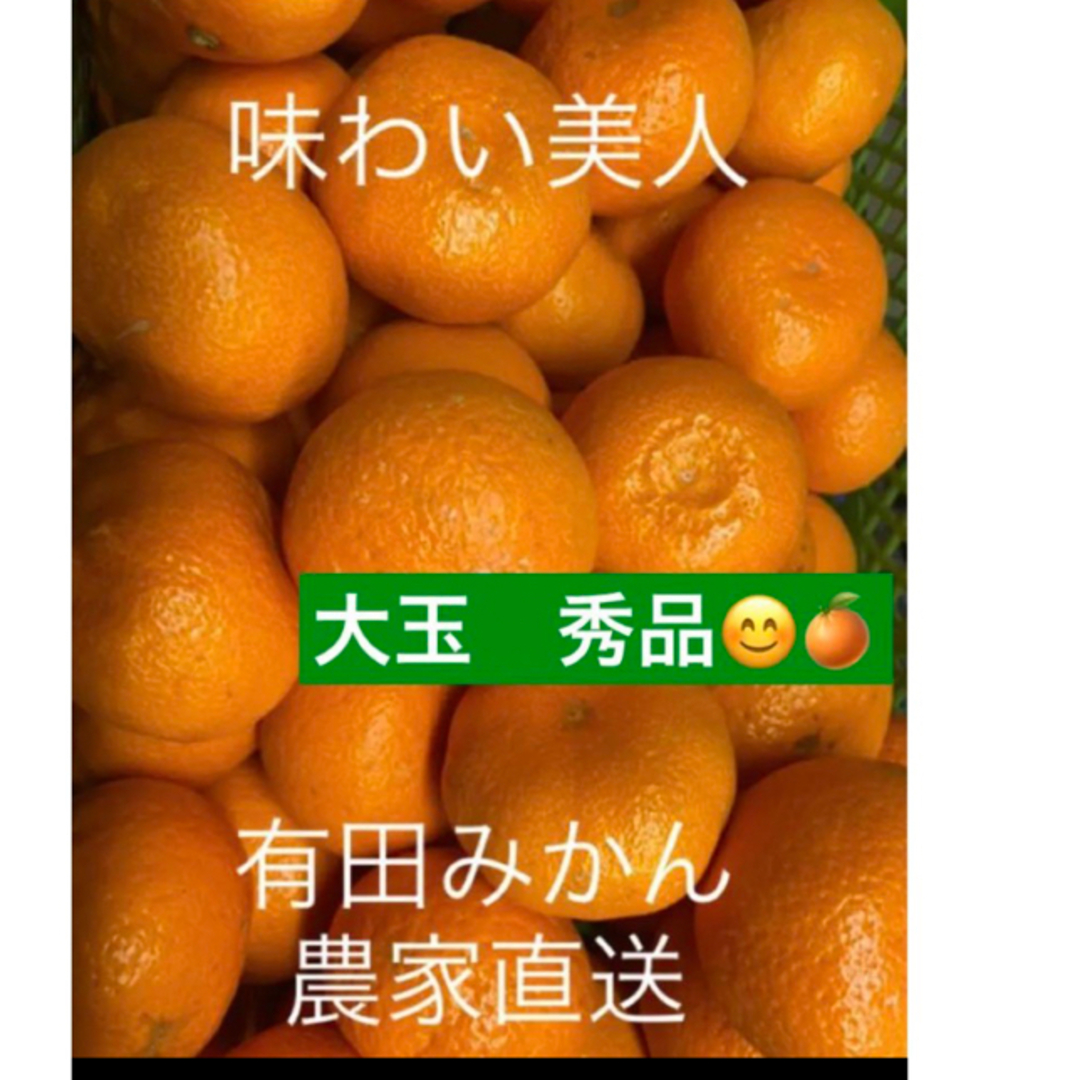 有田みかん農家直送☆味わい美人　大玉秀品箱込み10キロ 食品/飲料/酒の食品(フルーツ)の商品写真