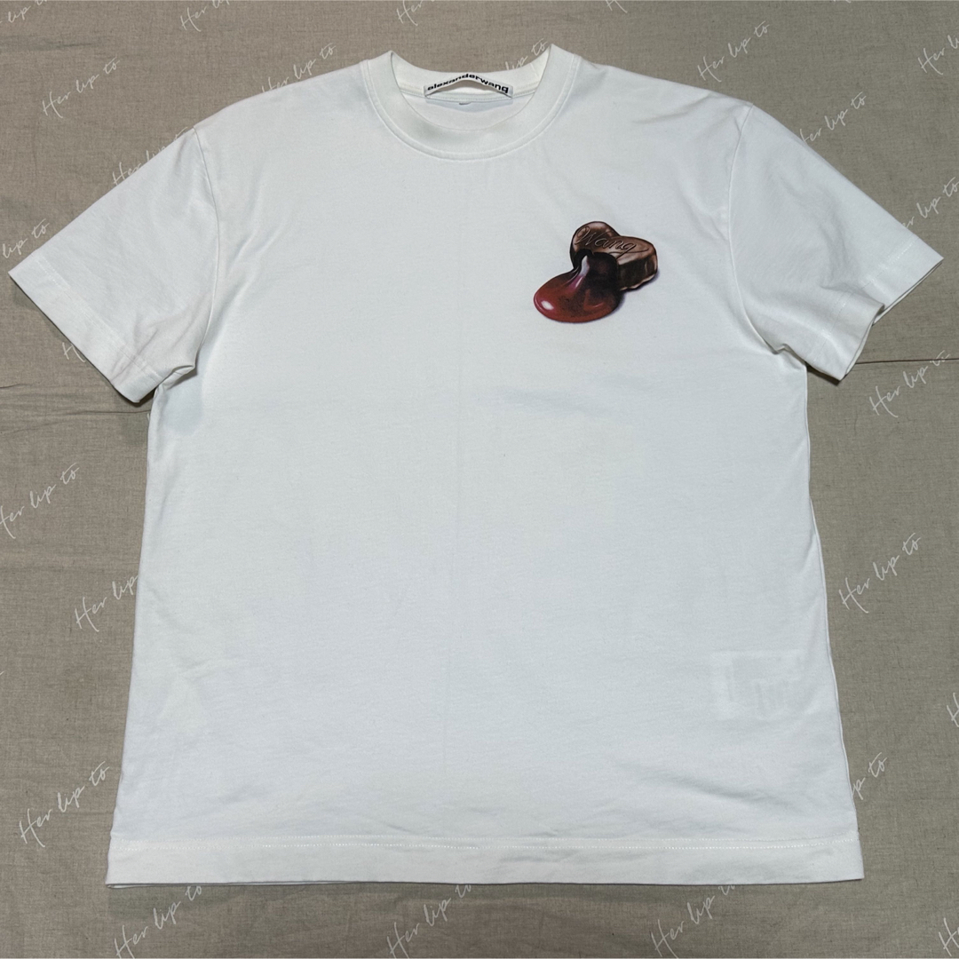 ALEXANDER WANG Tシャツ チョコレート