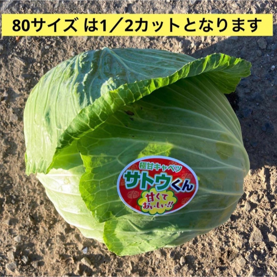 採れたて新鮮野菜詰め合わせ　80サイズ  食品/飲料/酒の食品(野菜)の商品写真