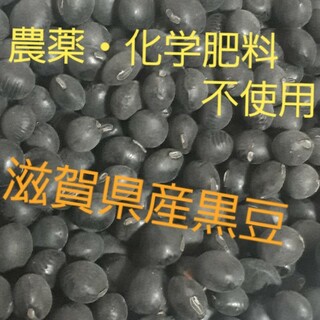 【送料無料】令和4年度滋賀県産　農薬・化学肥料不使用　黒豆700g(米/穀物)