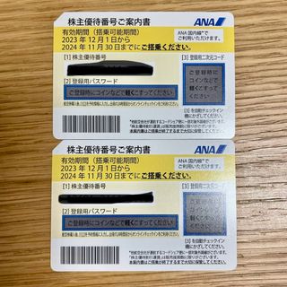 【価格交渉可能】ANA 株主優待券 2枚セット 2024/11/30期限(航空券)