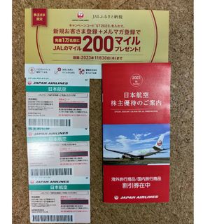 JAL 株主優待券　3枚(航空券)